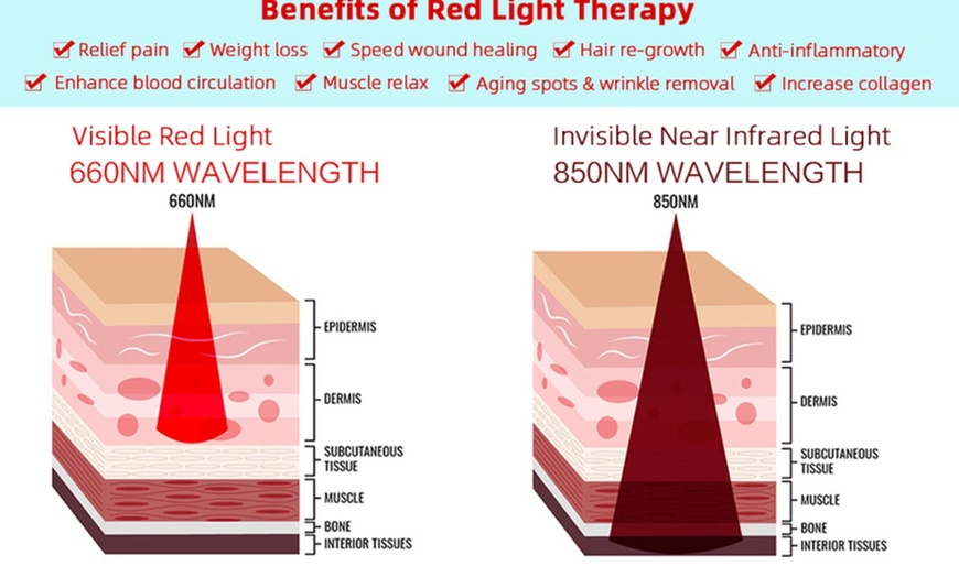 Image 4: Red Light Therapy Sessions for Muscle Relief, Metabolism & Circulation