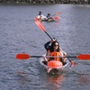 Image 5: Crystal Clear Kayak Rentals in San Diego Bay