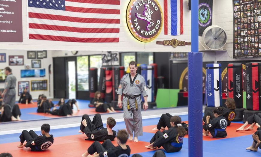 Image 7: 10 Days of Unlimited Tae Kwon Do Classes for One or Two Kids