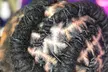 Up to 37% Off on Salon - Natural Hair Care at Maryelijahessence - Second Medium