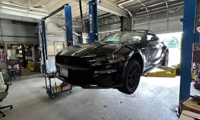 Get One Semi/Full Synthetic Oil Change or State Inspection Option