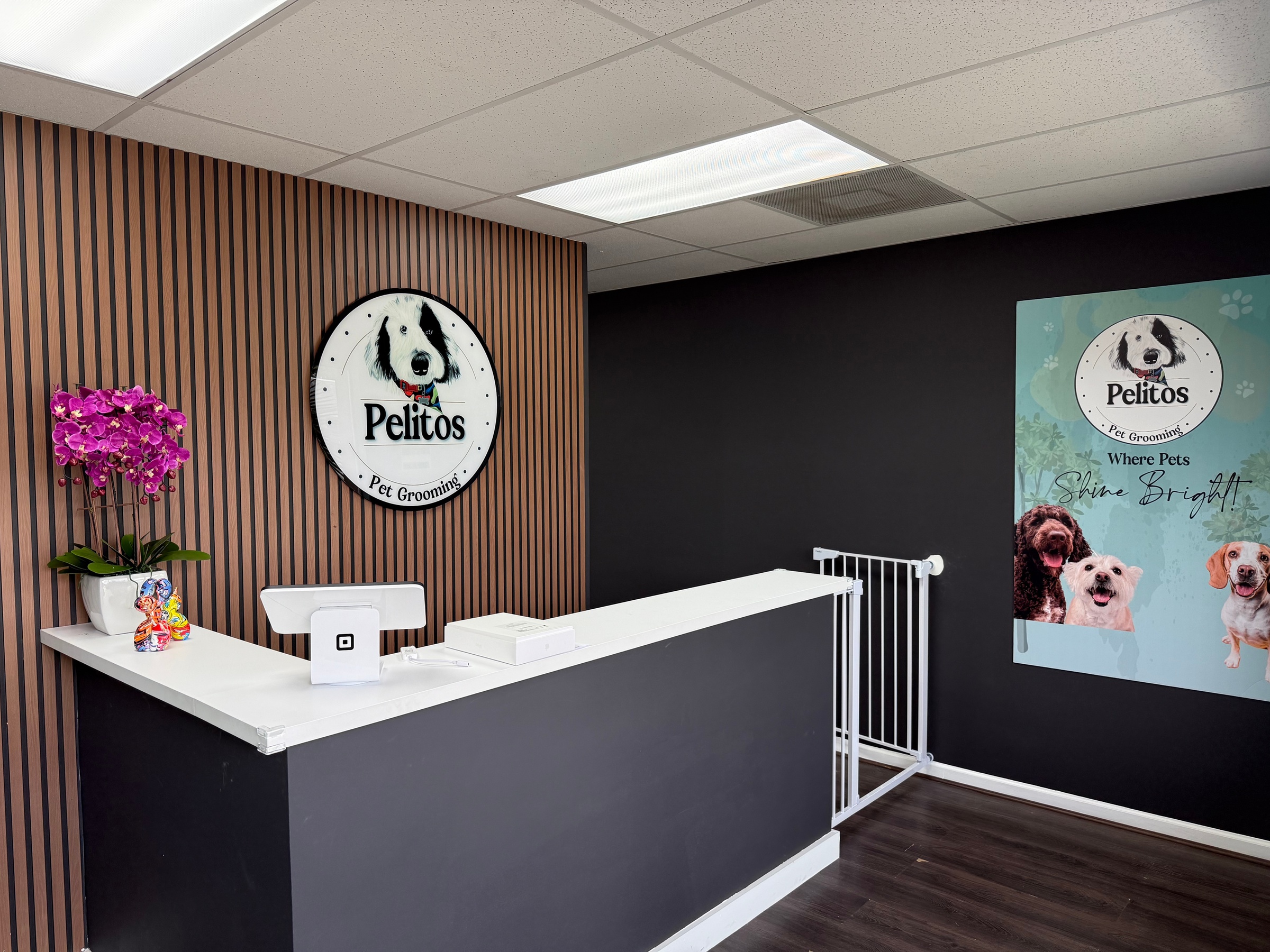 Up to 20% Off on Pet Grooming at Pelitos Pet Grooming