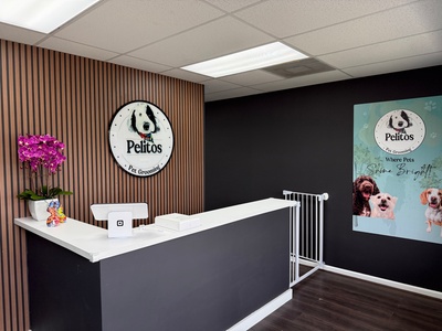 Doggie Bath Special - Pelitos Pet Grooming