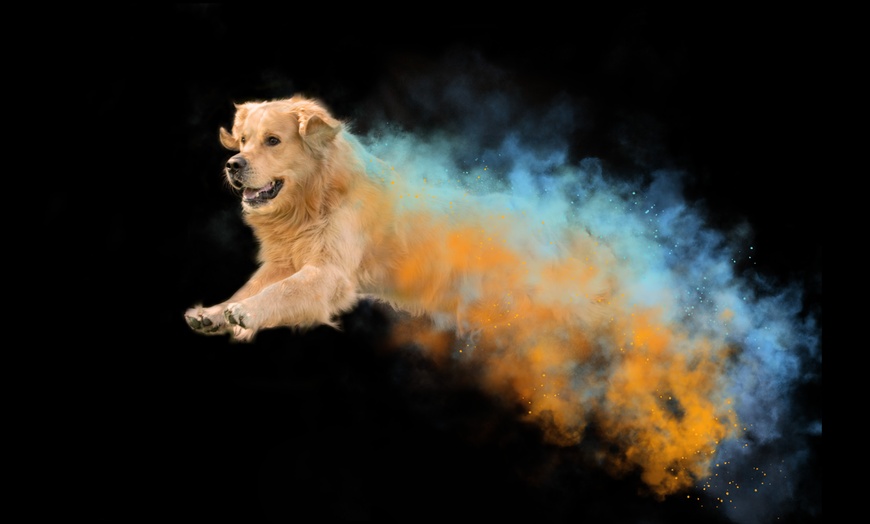 Image 1: 30 Min. Holi-Fotoshooting inkl. 3 - 5 Bilder