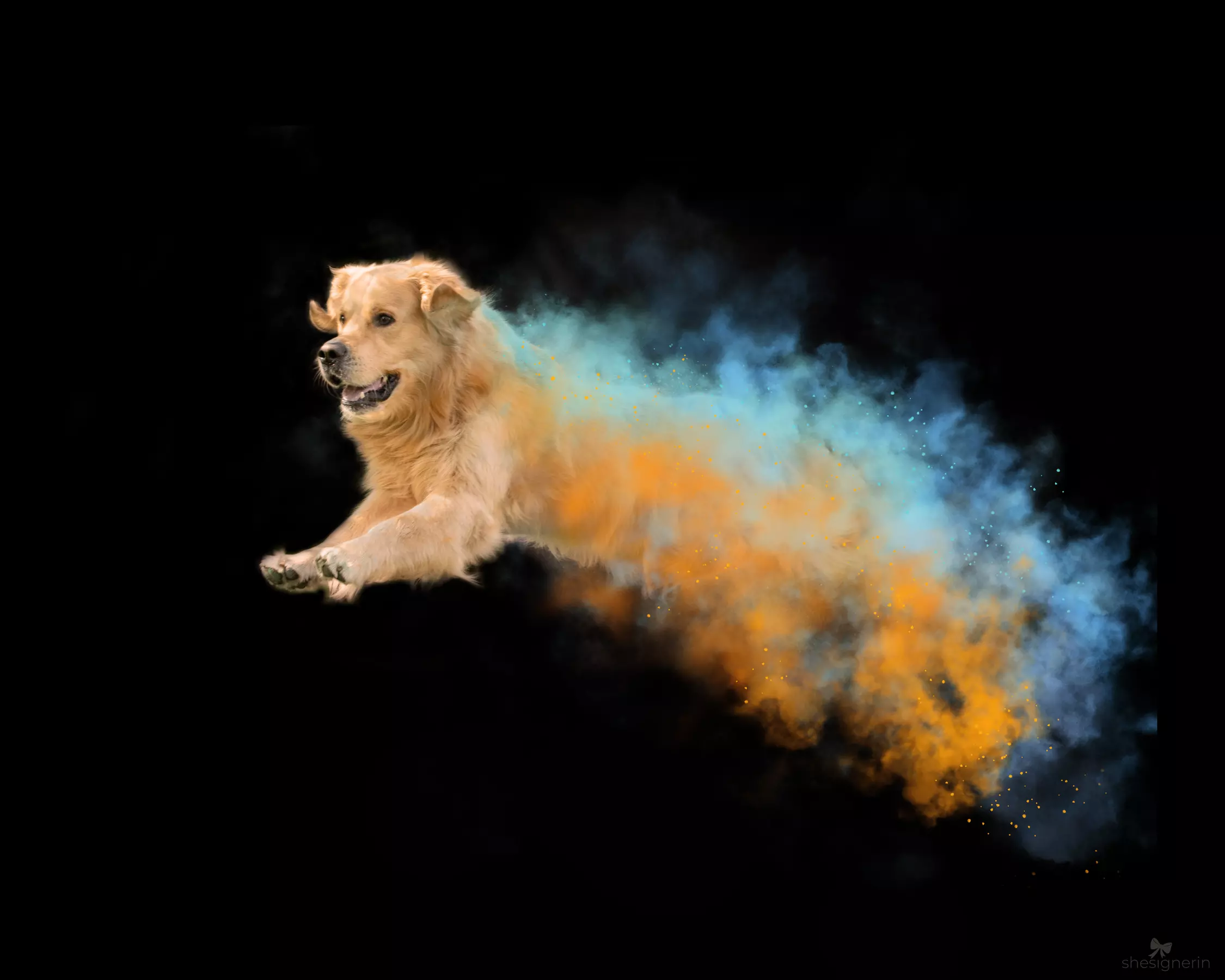 30 Min. Holi-Fotoshooting inkl. 3 - 5 Bilder