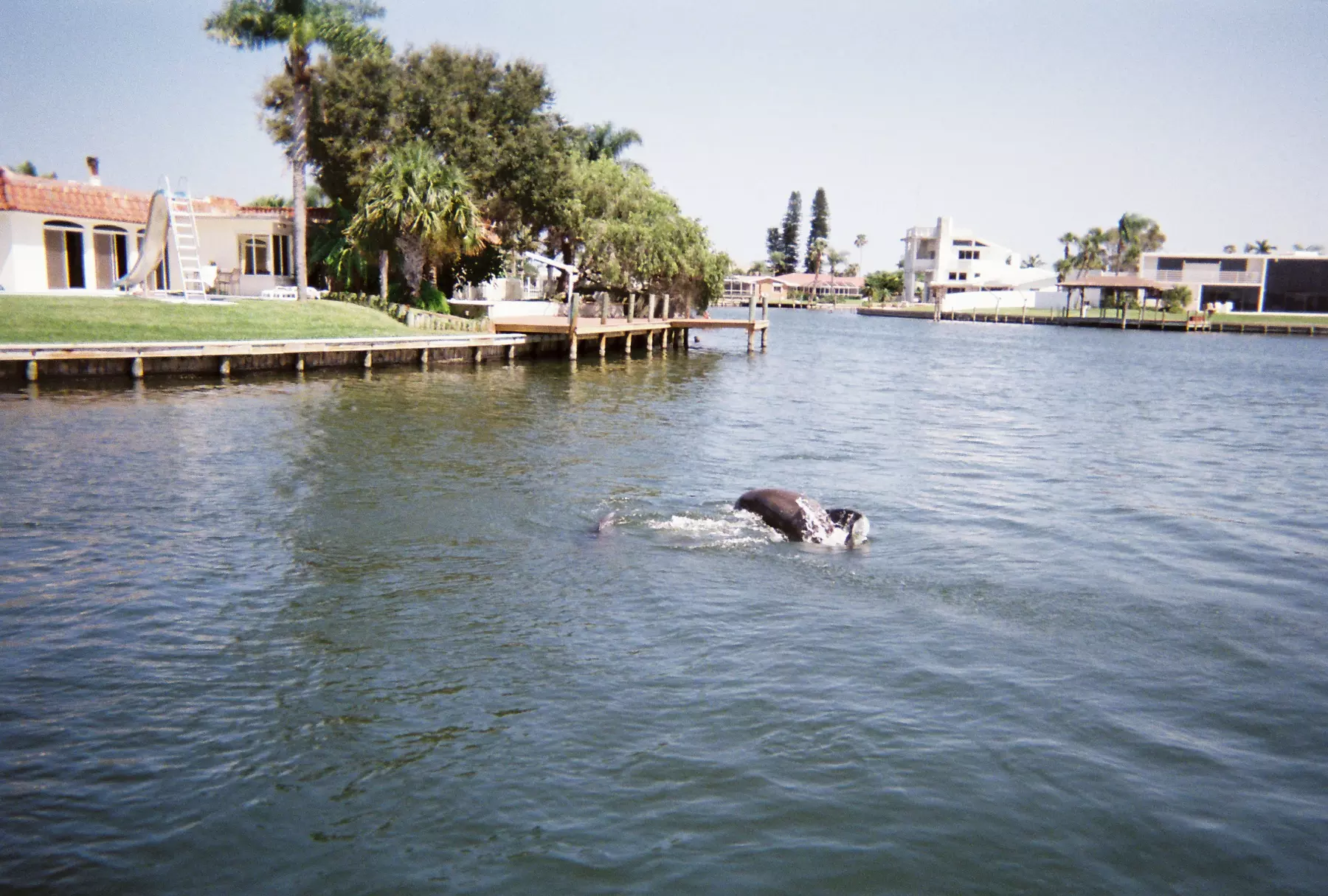 2-Hour Dolphin & Wildlife Eco Cruise in Cocoa Beach