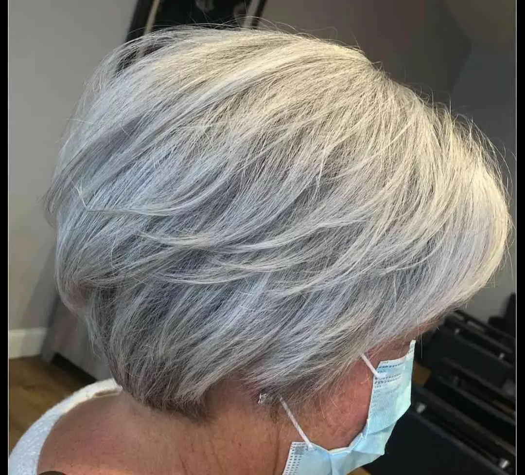 Senior Haircut or Root Touch Up or All Over Single Process Color