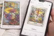 Balance Your Energy with Tarot Reading, Reiki Energy, or Soul Alignment at Truth Teller Tarot- Up to 75% Off - Second Medium