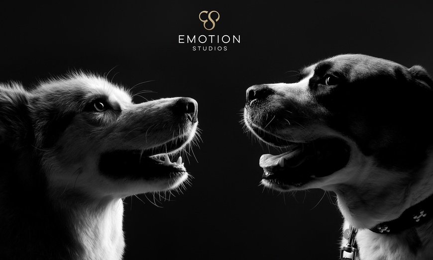 Image 5: Up to 75% Off on Photo Shoot - Pet at Emotion Studio