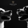 Image 5: Up to 75% Off on Photo Shoot - Pet at Emotion Studio