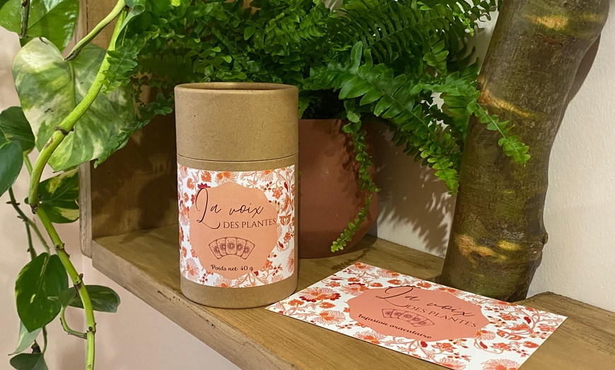 Image 2: Guidance végétale à distance et rituel d'infusion oraculaire 