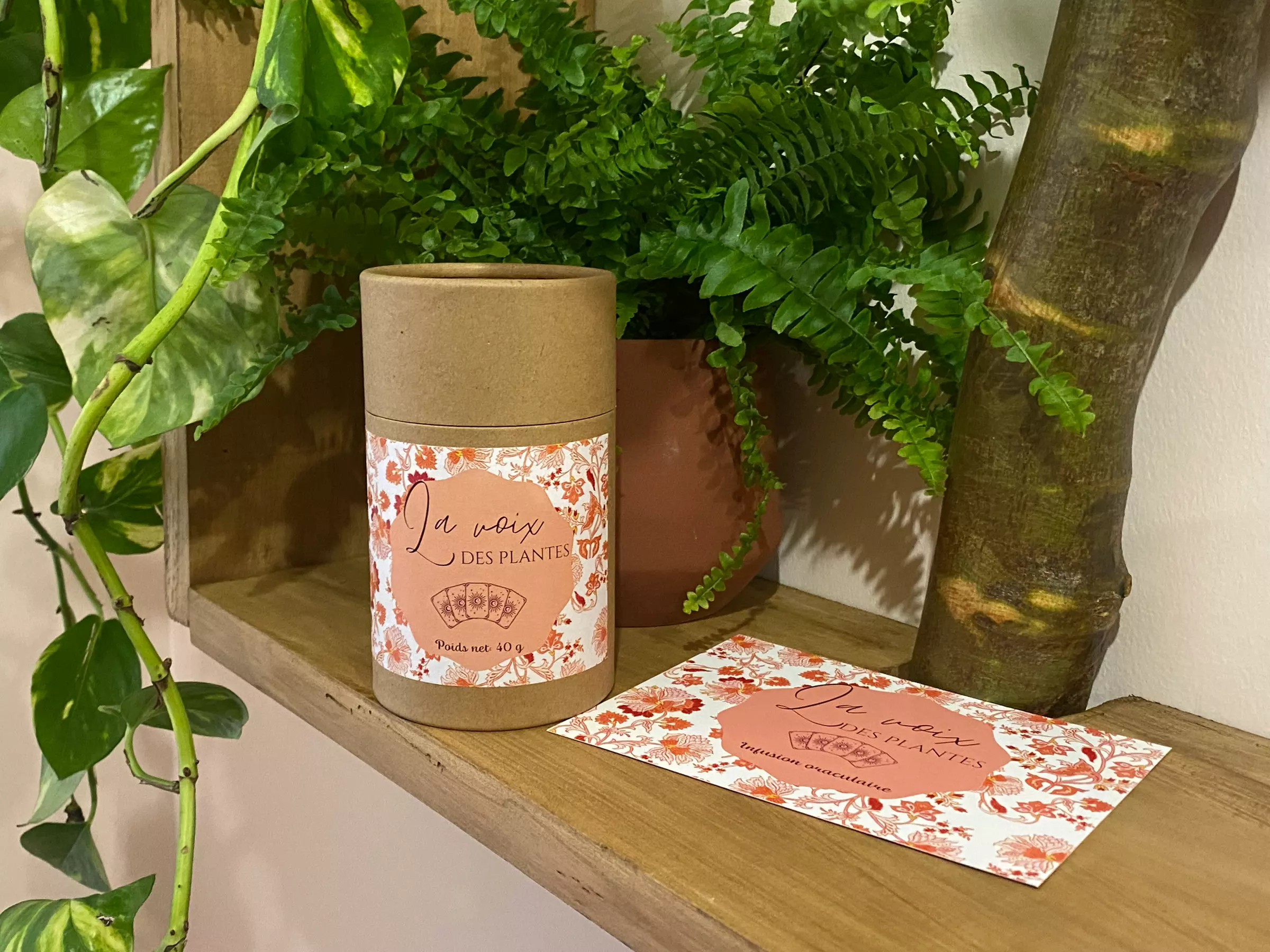 Guidance végétale à distance et rituel d'infusion oraculaire