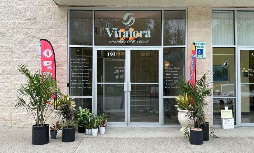 Image 11: Wellness Therapies: Infrared Sauna, Red Light, Pelvic Floor & More
