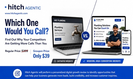 Website & Local SEO Performance Review - hitchAgentic