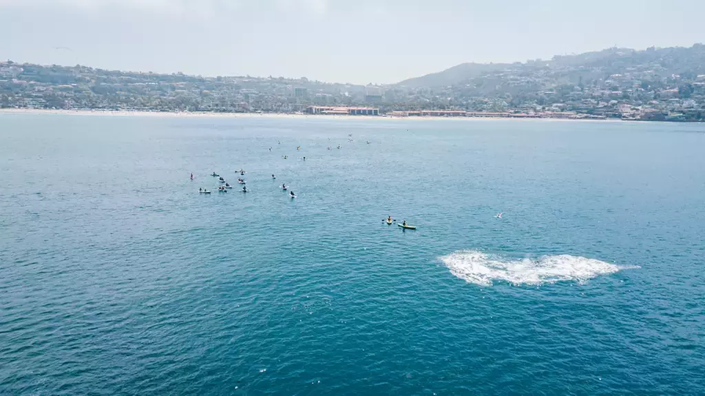 Guided Kayaking w/ Whale Watching in La Jolla's Ecological Reserve