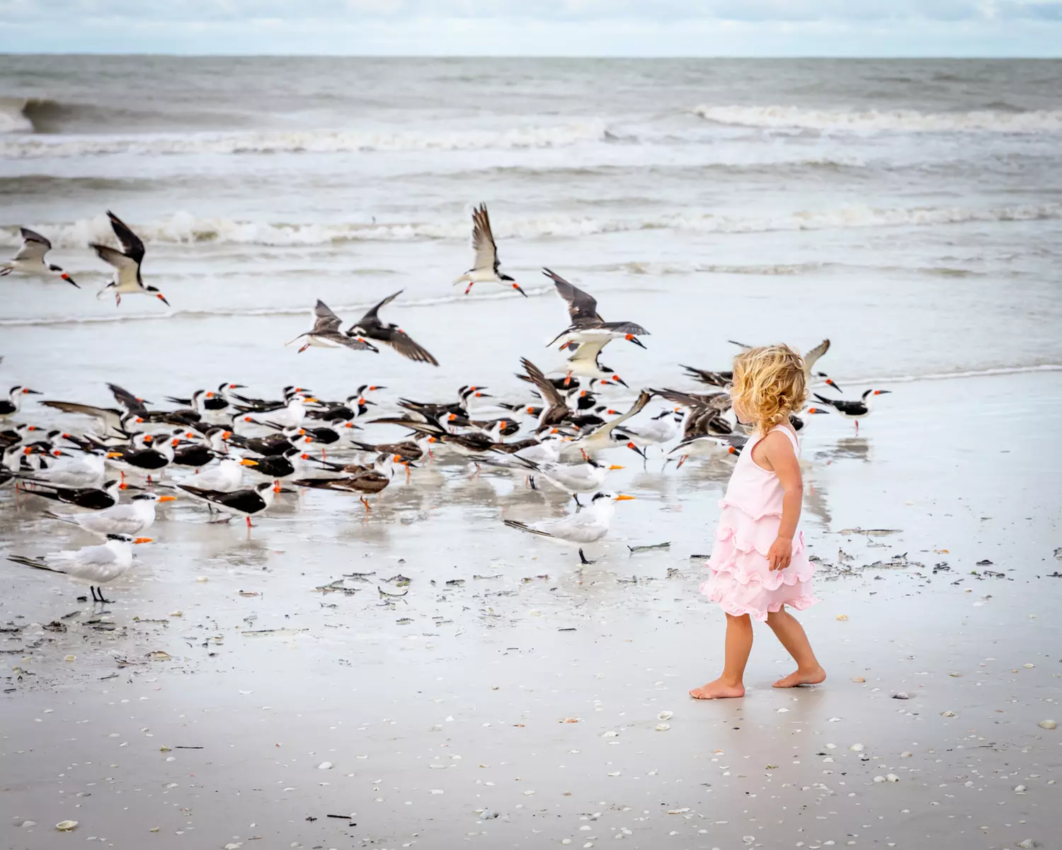 Stunning Morning Beach Photography Sessions 