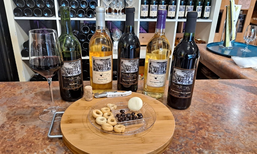 Image 3: Up to 50% Off on Wine Tasting / Flight at Sandy Springs Boutique Winery