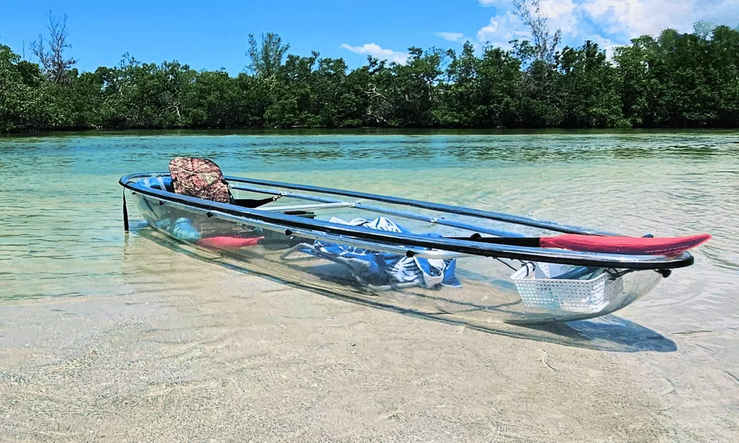 Explore Clam Bayou: 120-Minute Clear Kayak Mangrove Eco Tour