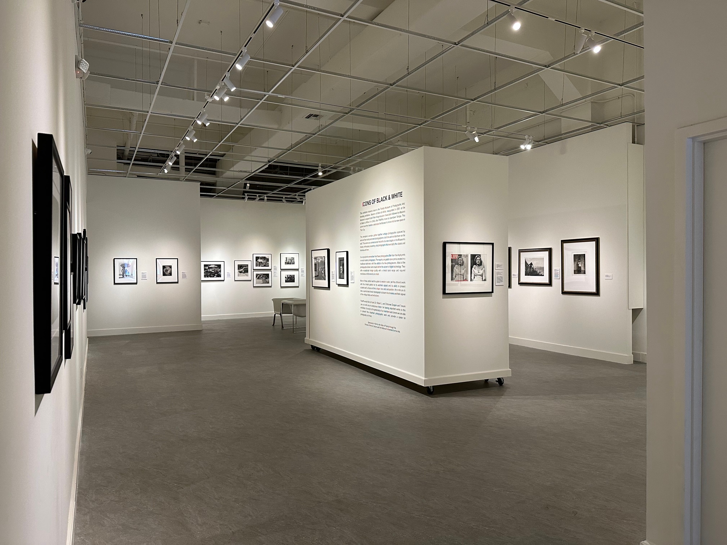 Explore Captivating Photographic Art at FMoPA