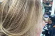 Haircut with Deep Conditioning with Partial or Full Highlights (Up to 58% Off) at Tropical salón - Second Medium