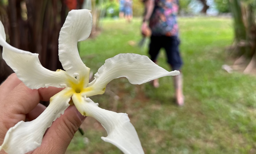 Image 5: 90-Minutes Sensory Farm Tour at Koili Point ES in Papaikou, HI
