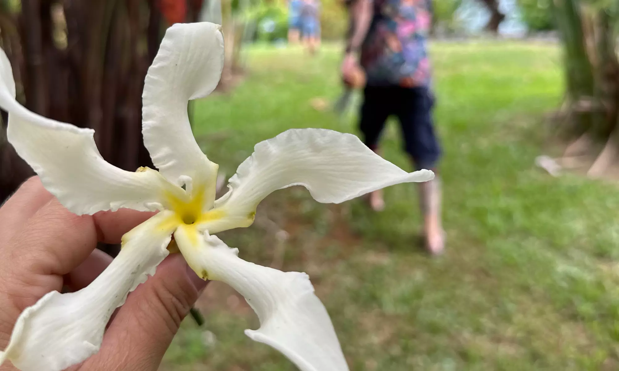 90-Minutes Sensory Farm Tour at Koili Point ES in Papaikou, HI