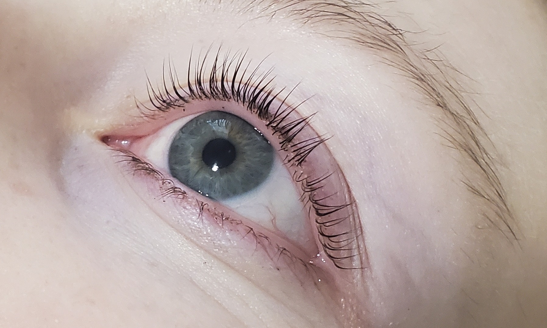 Up to 50% Off on Eyelash Tinting at Everglo Spa