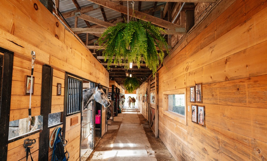 Image 9: Up to 45% Off on  at Humberstone Ranch