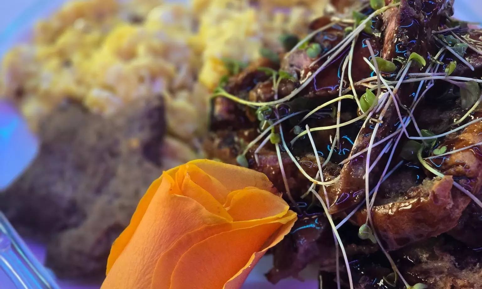 Discover STL with a Vibes Brunch Tour from Morning till Afternoon