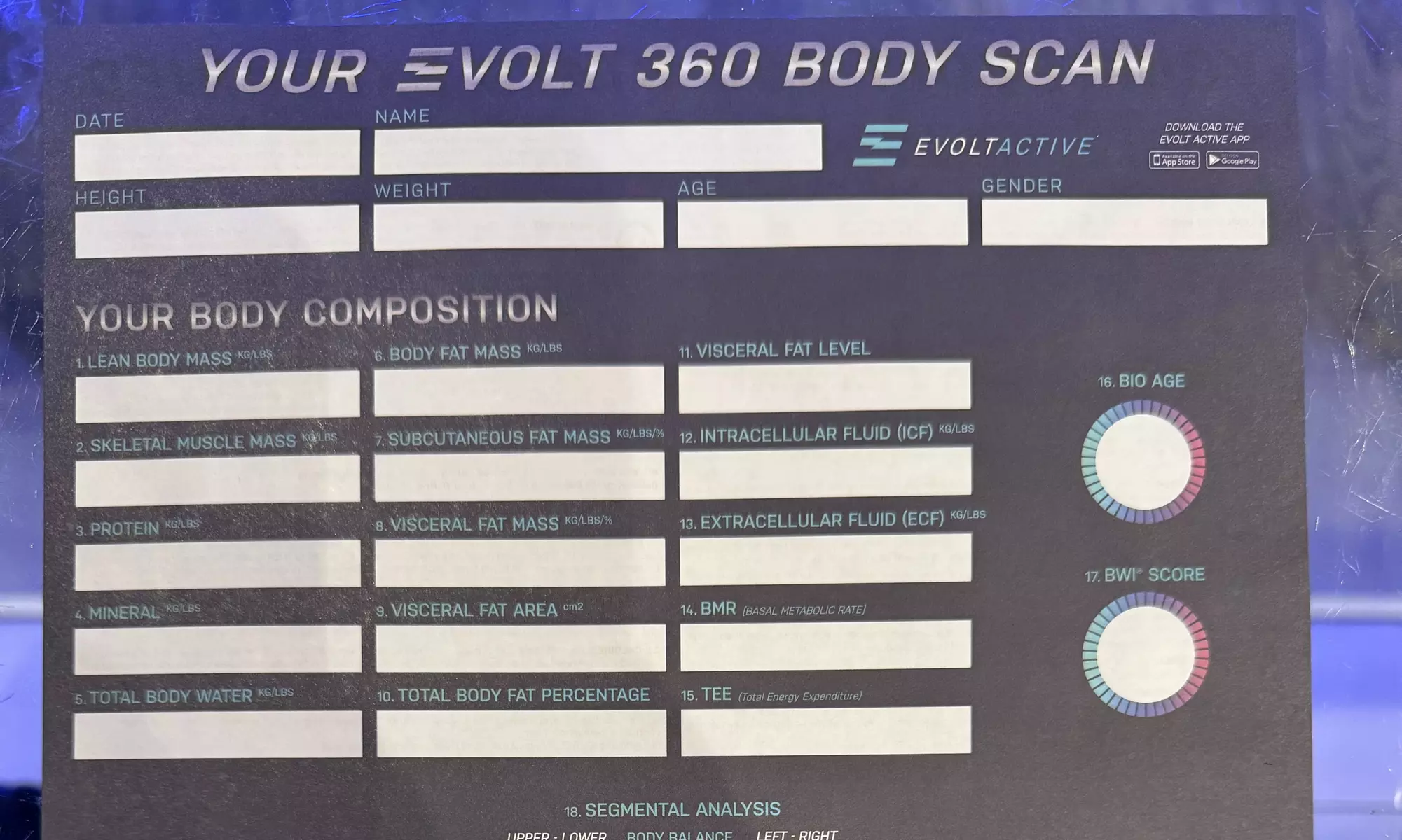 Get a Detailed Body Scan with Evolt 360 Technology!