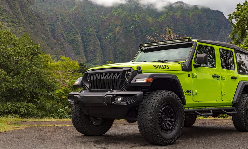 Image 3: Oahu Island Tours and Photo Sessions for Two, Four, or Eight Hours