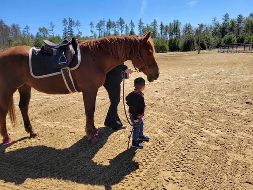 What to expect media