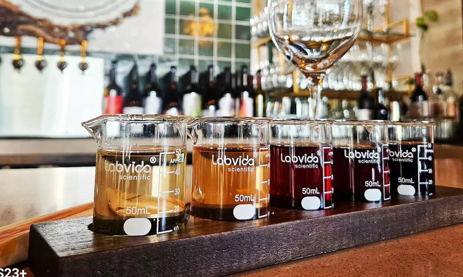 Handcrafted Wine & Charcuterie Experience Featuring 30+ Varietals