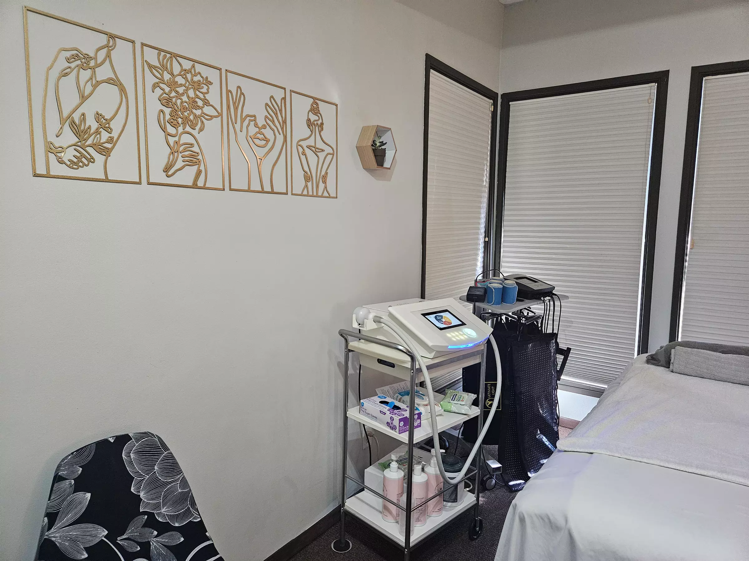 One or Three 45 Min Cryo Facial or Toning Treatment or Combo of Both