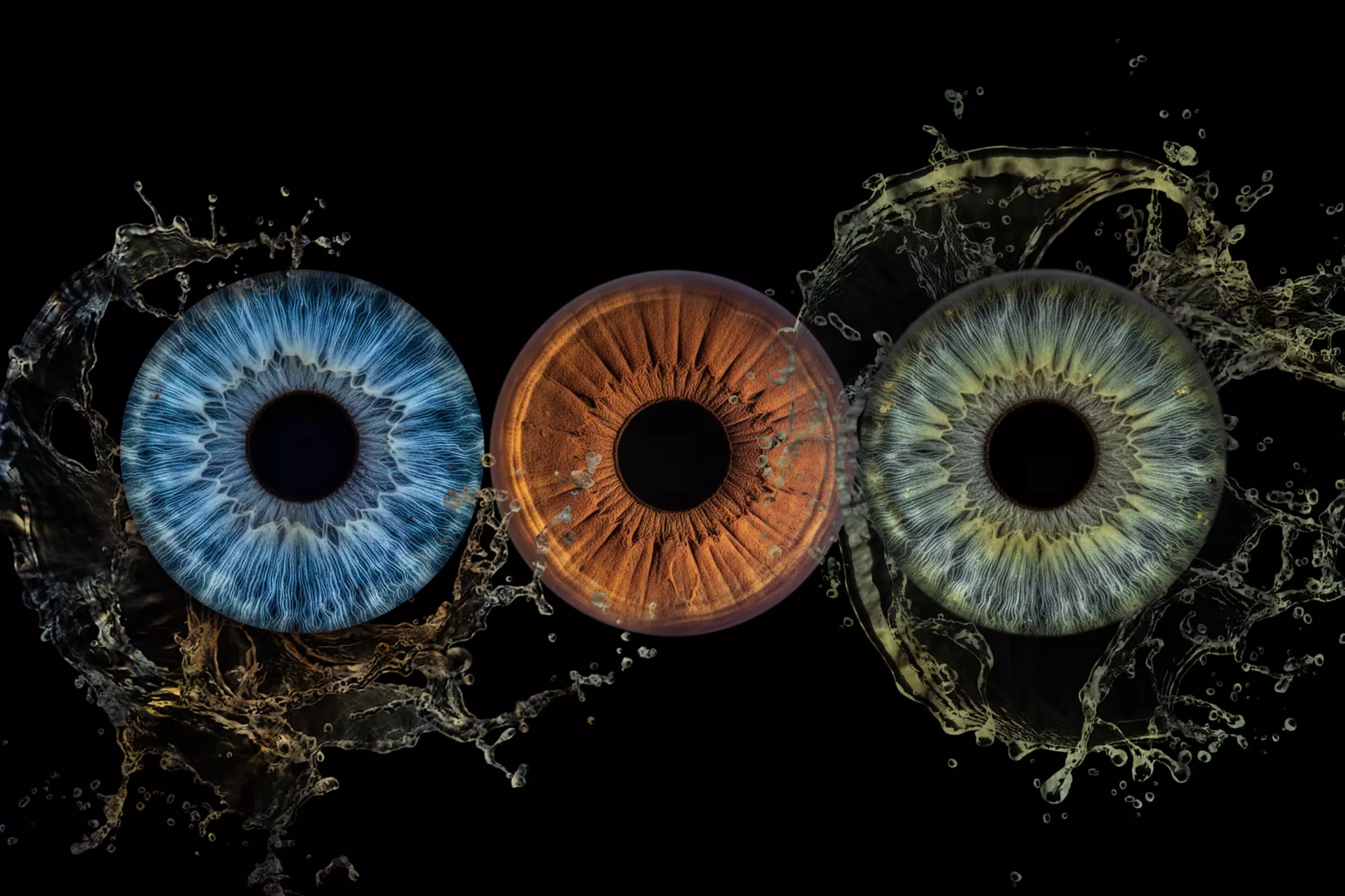 Iris-Fotoshooting für 1 - 3 Iriden ohne Effekt inkl. Bild als Datei