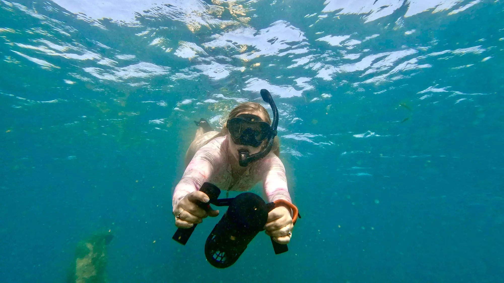 Jet Snorkel Tours in West Palm Beach for All Levels