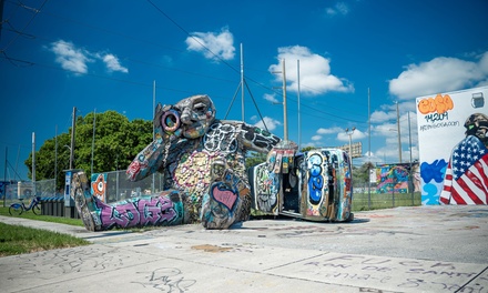 Capture Miami City Tour: Cuban Culture & Camera Walk - For 1 - Sunny Miami Tours