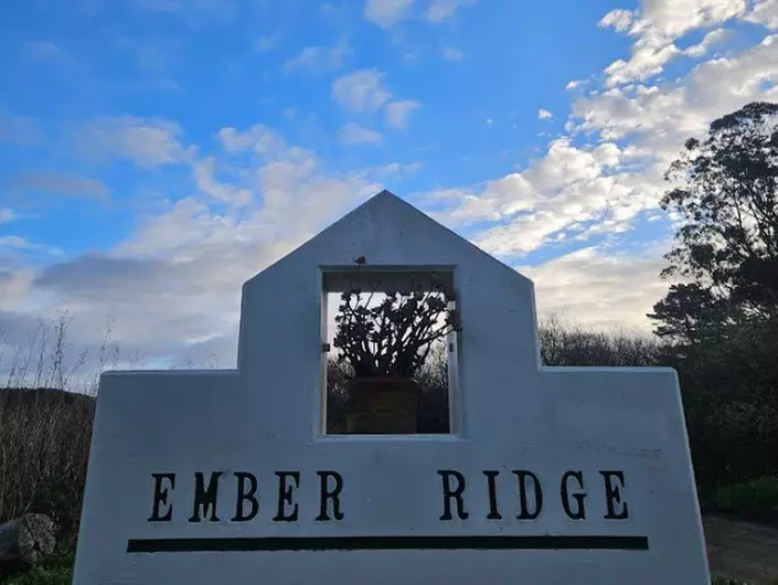 Horse Back Riding Lessons for 1-4 People w/ Experts in Moss Beach, CA