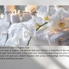 Image 5: 6 Laser Hair-Removal Sessions on Extra Small, Small, Medium/Large Area