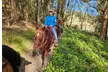 Horse Back Riding Lessons for 1-4 People w/ Expert Guide in Moss Beach, CA - Up to 36% Off - Second Medium