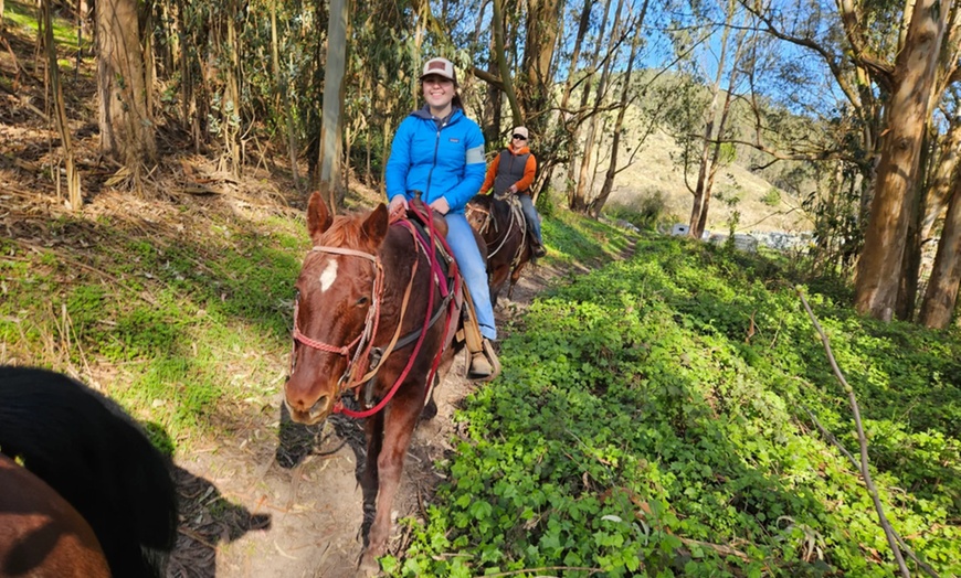 Image 4: Horse Back Riding Lessons for 1-4 People w/ Experts in Moss Beach, CA