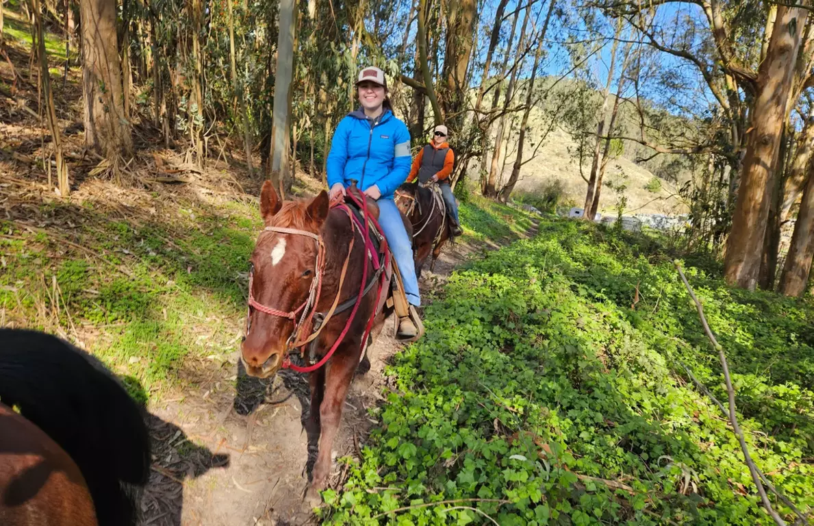 Horse Back Riding Lessons for 1-4 People w/ Experts in Moss Beach, CA