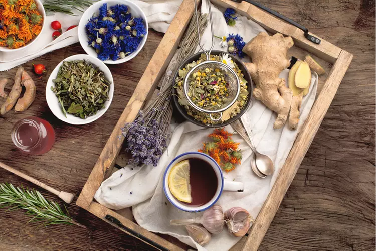 Onlinekurs zu den Wechseljahren, Darmgesundheit, TCM oder Heilkräuter