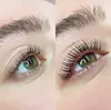 Up to 20% Off on Eyebrow Tinting at Lotus Beauty Salon & Spa