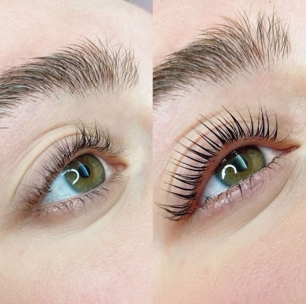 Up to 20% Off on Eyebrow Tinting at Lotus Beauty Salon & Spa