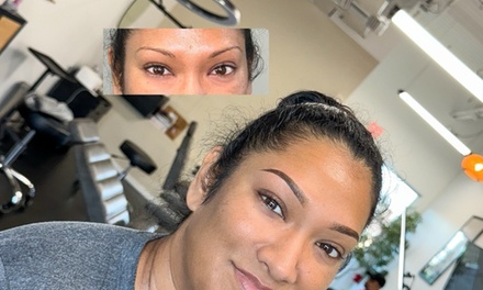 EARLYBIRD PRICE (LIMITED SUPPLY) :  Ombre Microshading Session - Brow Reality