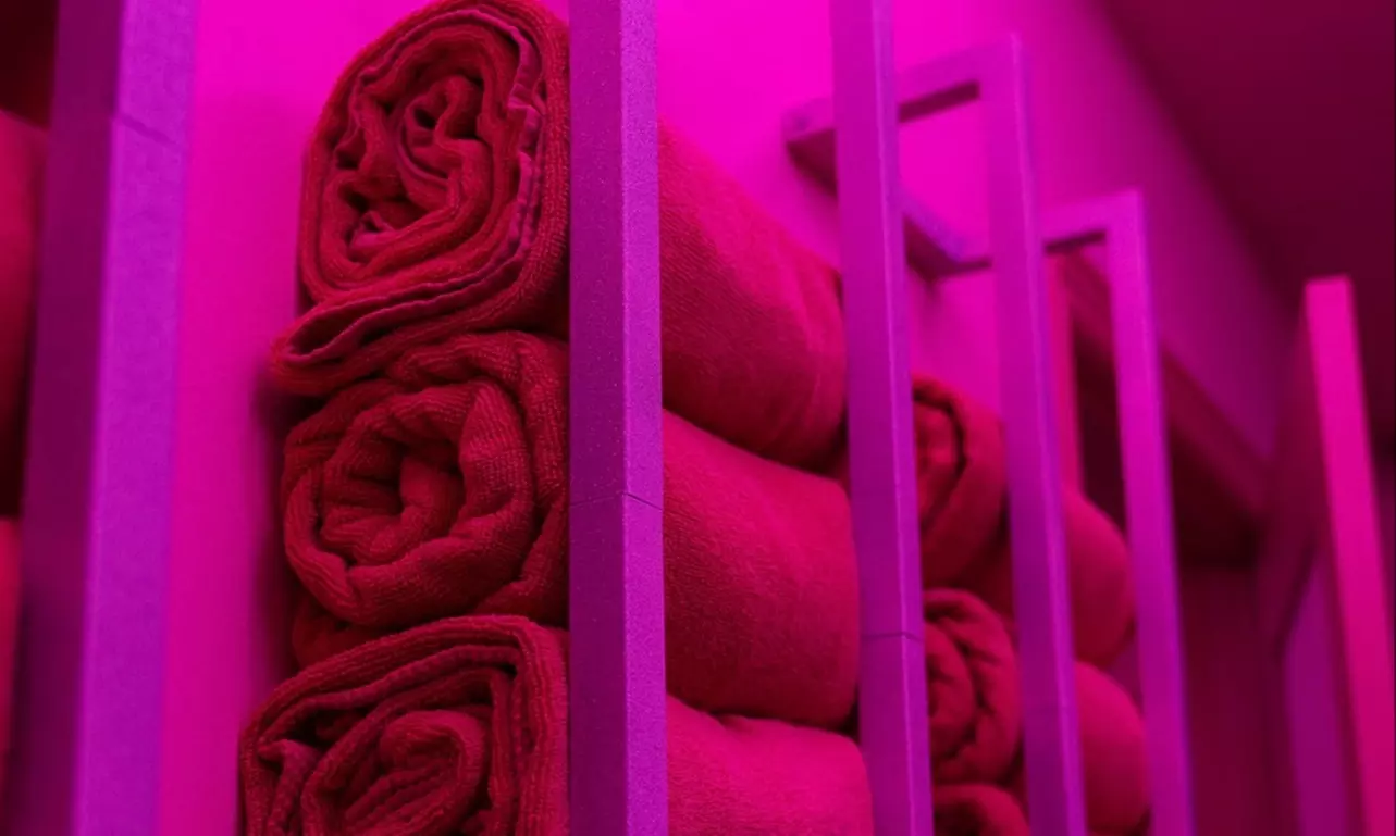 Relax with One Hour Infrared Sauna Session!