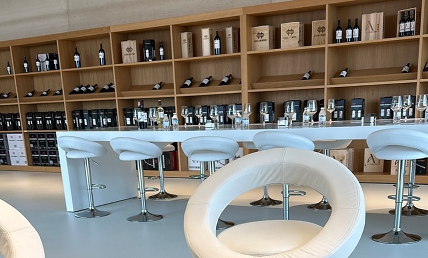 Image 2: Cata de 3 vinos, visita guiada y aperitivo en Bodegas Carramimbre