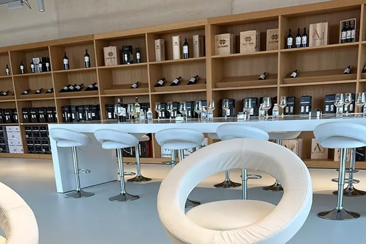 Cata de 3 vinos, visita guiada y aperitivo en Bodegas Carramimbre