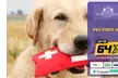 Up to 83% Off on Pet - Daycare at St Pauls College - Second Medium